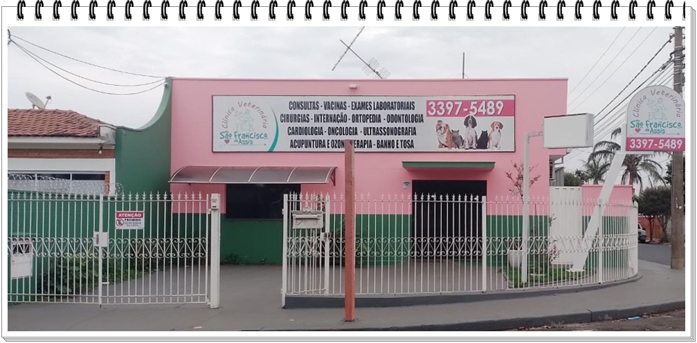 clinica são francisco