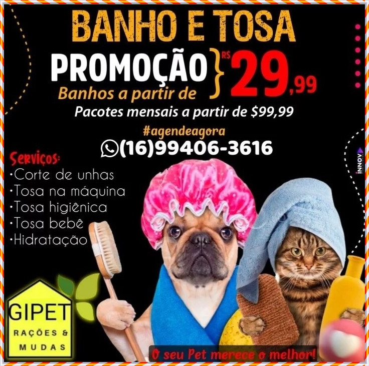 banho tosa gi