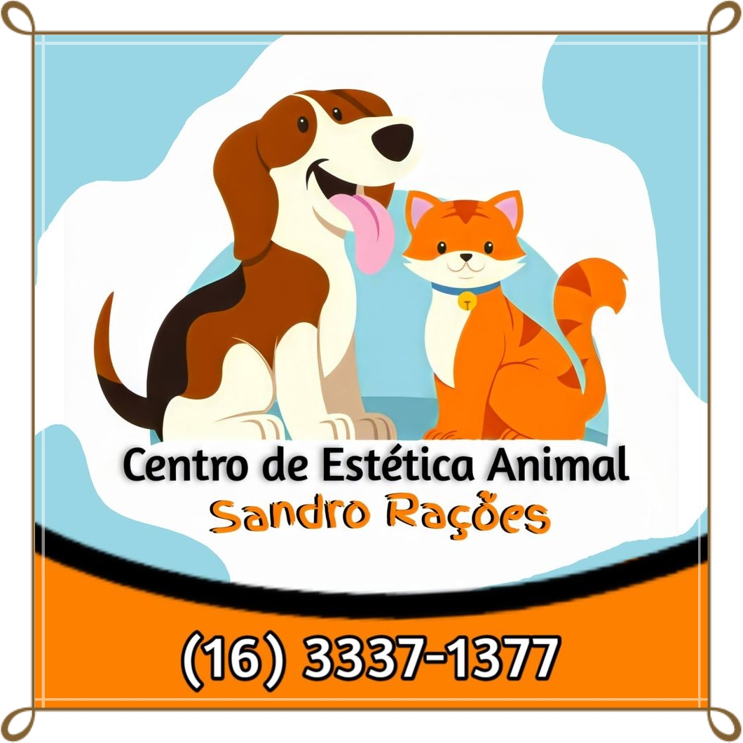 estetica sandro
